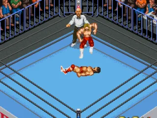 Other wrestlers care more about beating the opponent hard rather than fancy submissions