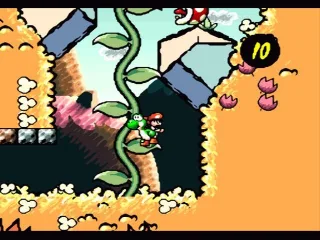 Climbing up the plants