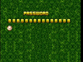 Password screen
