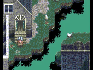 Nica attention to detail: birds walking around...