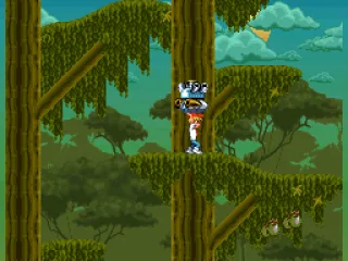 Forest level