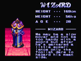 Character description screen