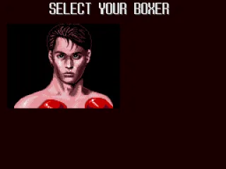 Select a boxer