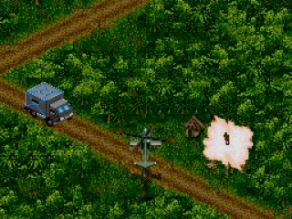 Destroying in the jungle