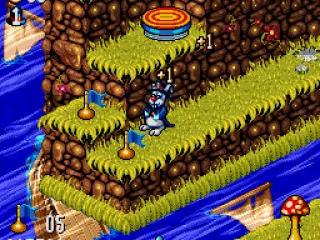 Collect flags. Up above is a bouncing pad.