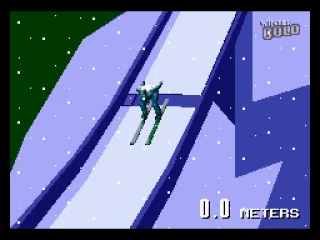 Ski Jump: Approaching the jump