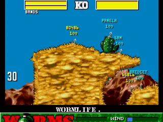 Kill the enemy worms!