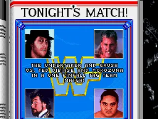 A tag team match