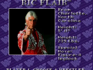 Natureboy Ric Flair