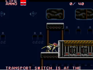 Panthera can get into small spaces