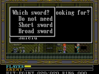 Buying a sword. Very important